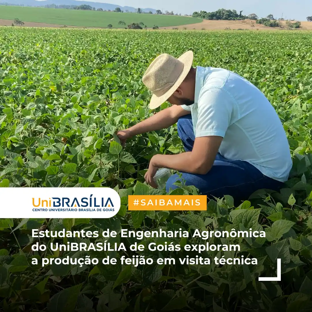 Estudantes-de-Engenharia-Agronomica-do-UniBRASILIA-de-Goias-exploram-a-producao-de-feijao-em-visita-tecnica-1.opti_